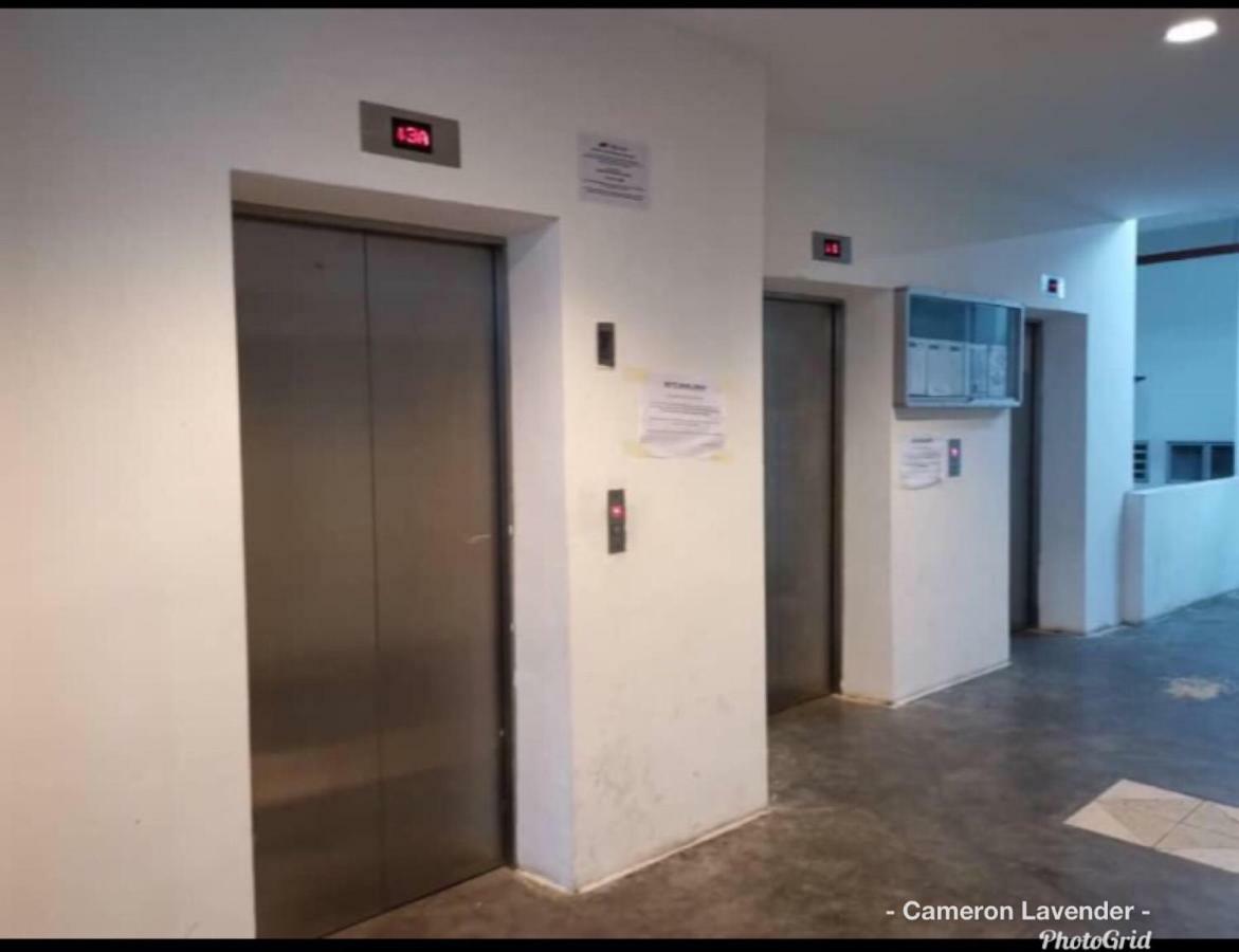 Cameron Lavender Homestay 金马仑高原 外观 照片
